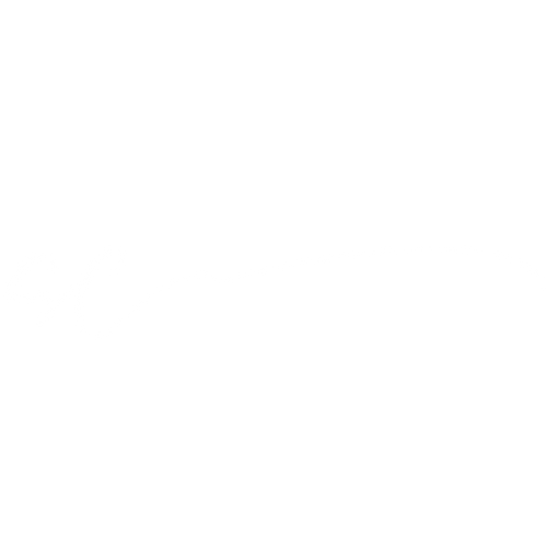 SILKCHEVEUX
